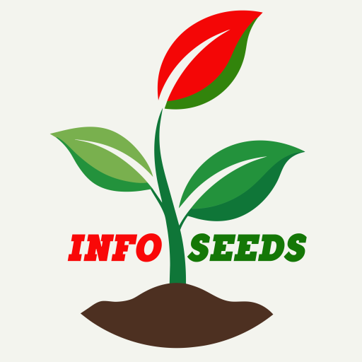 INFO SEEDS